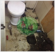 Nguyên nhân gây nghẹt bồn cầu.