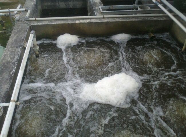 Giá cho thuê xe bồn vận chuyển bùn vi sinh An Giang