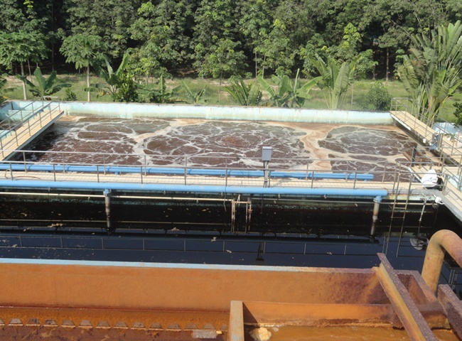 Vận chuyển bùn vi sinh Long An cảnh báo lừa đảo