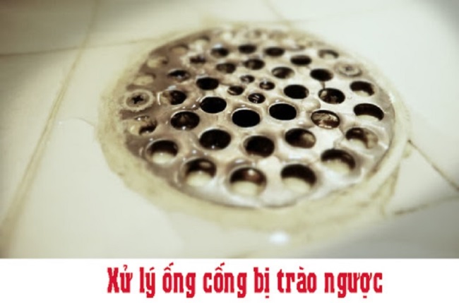 Đường cống thoát nước bị trào ngược