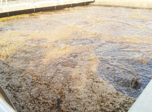 Công ty vận chuyển bùn vi sinh Trà Vinh