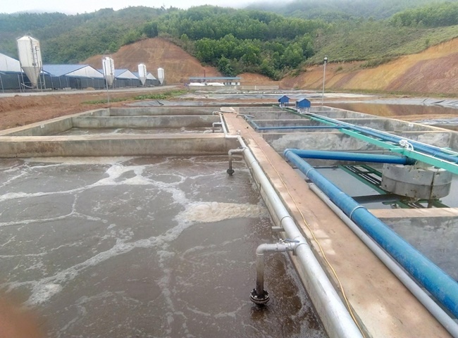 Vận chuyển bùn vi sinh quận 1 Minh Đức giá rẻ hợp lý nhất thị trường