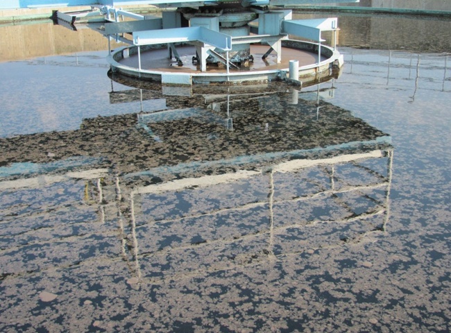 Dịch vụ cung cấp vận chuyển bùn vi sinh Hồ Chí Minh uy tín chất lượng