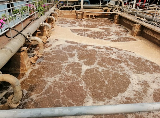 Cung cấp b&ugrave;n vi sinh Bạc Li&ecirc;u c&ocirc;ng ty H&ograve;a Ph&aacute;t